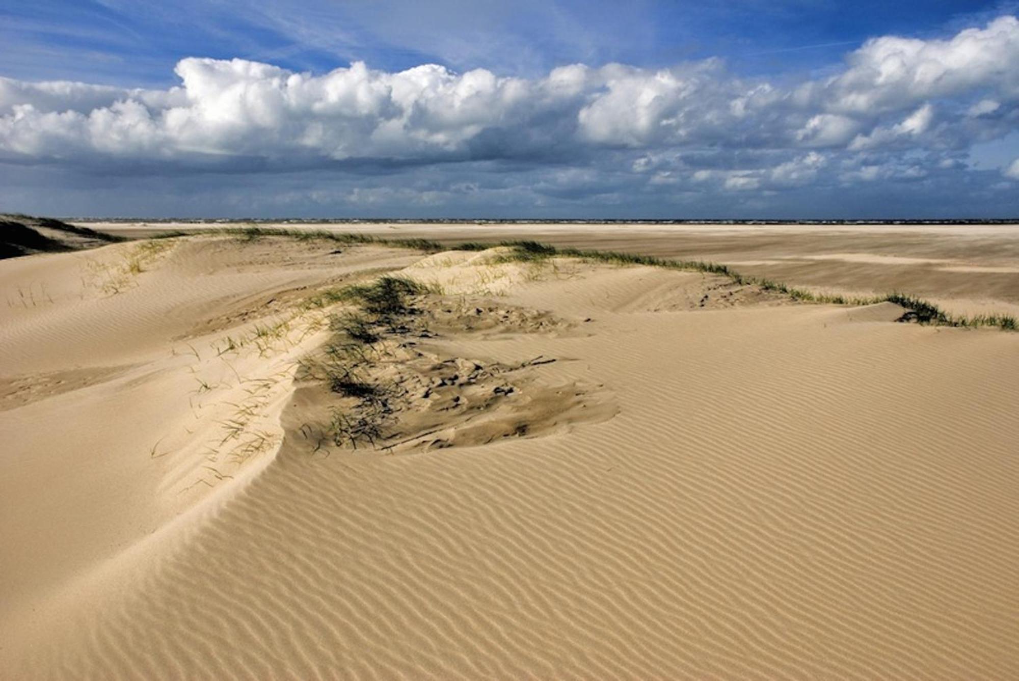 Ara Dune Hotel De Panne Exteriér fotografie