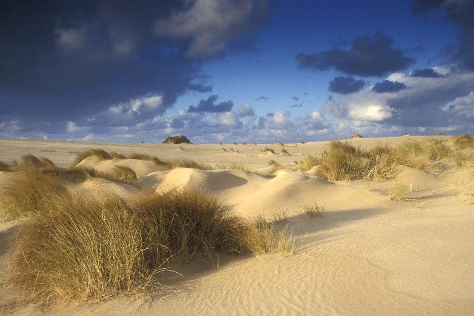 Ara Dune Hotel De Panne Exteriér fotografie